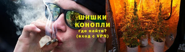 PSILOCYBIN Богородск