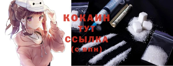 PSILOCYBIN Богородск
