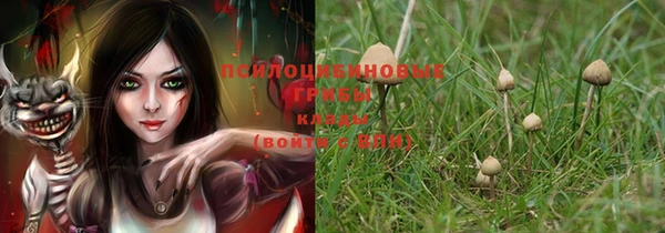 PSILOCYBIN Богородск
