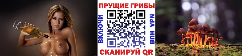 Псилоцибиновые грибы мухоморы  площадка какой сайт  Среднеуральск  сколько стоит 